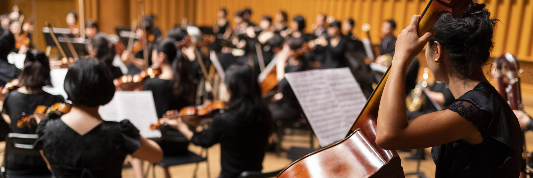 Organizational maturity: learning to walk before trying to run 