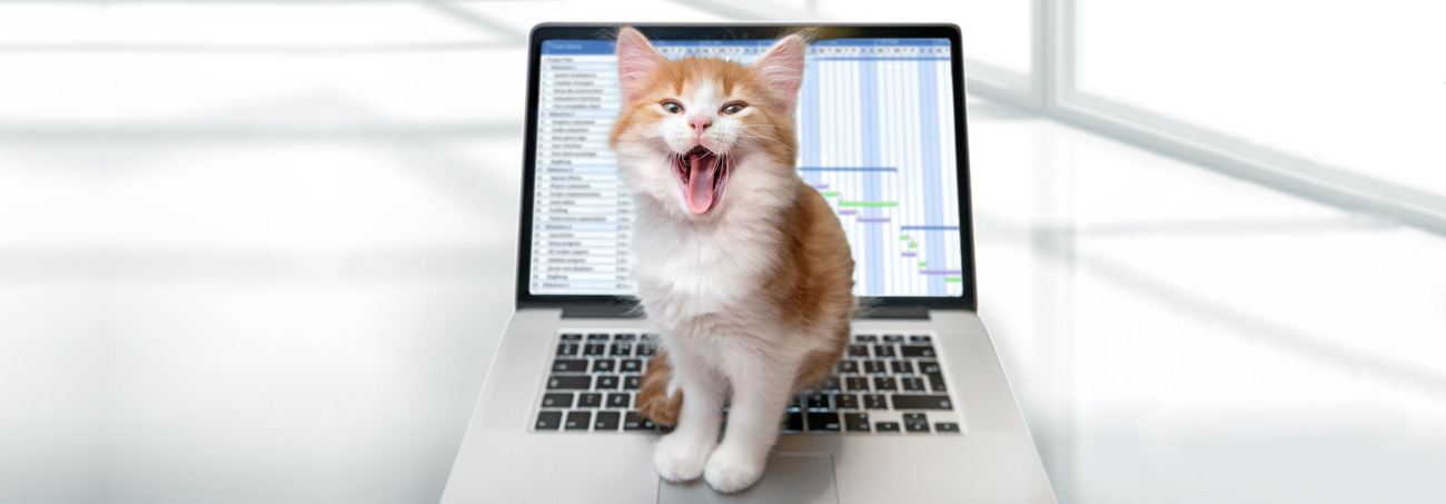 Why planners distrust foxes and love cats