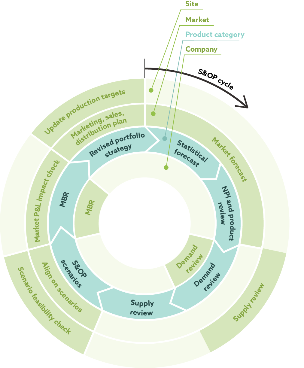 multi-level S&OP process